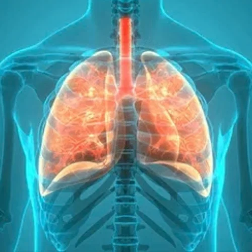 Lung Interventions
